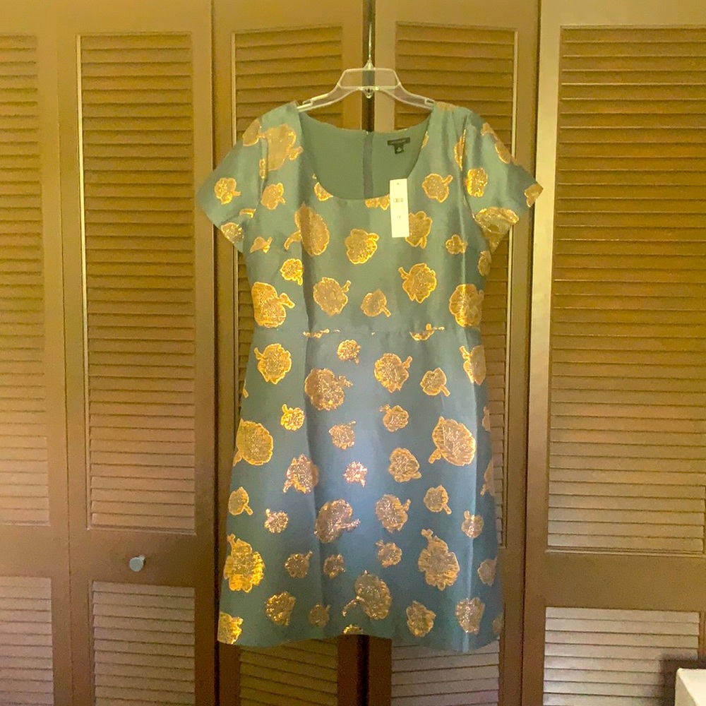 Spectacular NWT AnnTaylor dress w/gold detail